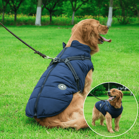 🎁Hot sale🔥Waterproof Winter Warm Dog Jacket With Built-in Harness