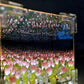 Tulips Cube Infinity Mirror Lamp