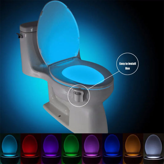 The LED Toilet Light